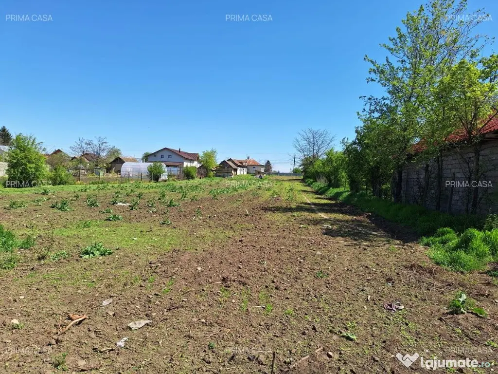 Teren + Casă bătrânească | Comuna Smeeni, jud. Buzău | 2.878 mp | 