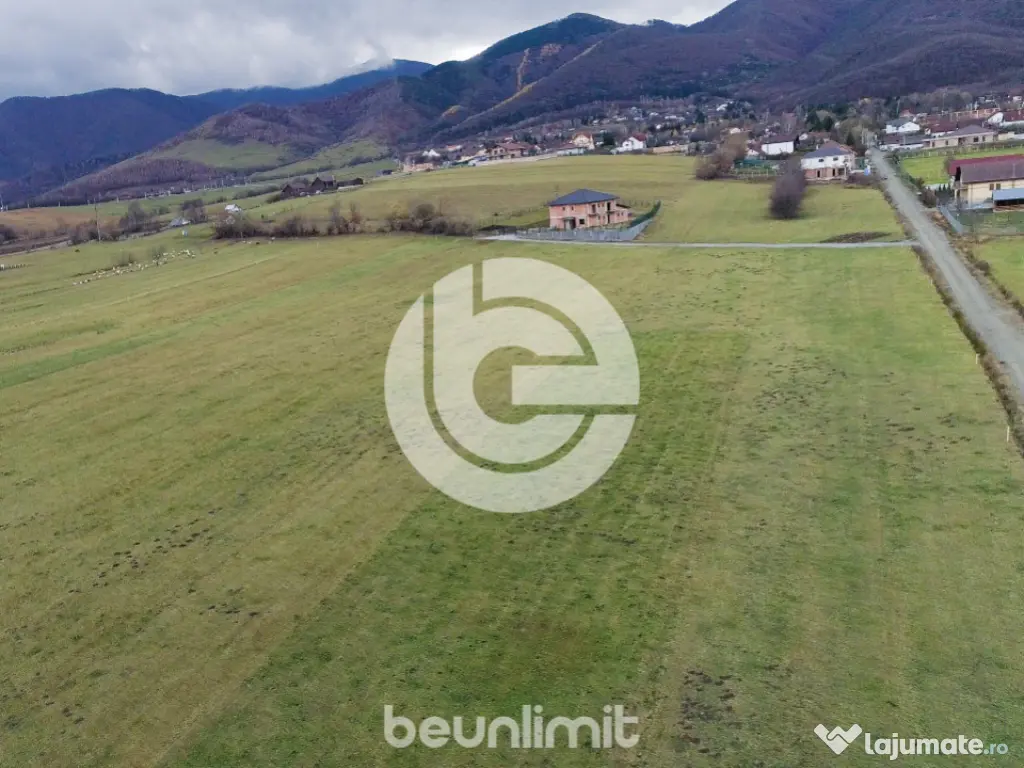 Teren intravilan în Tocile - 49 euro/mp - 4354 m² - 2 fron