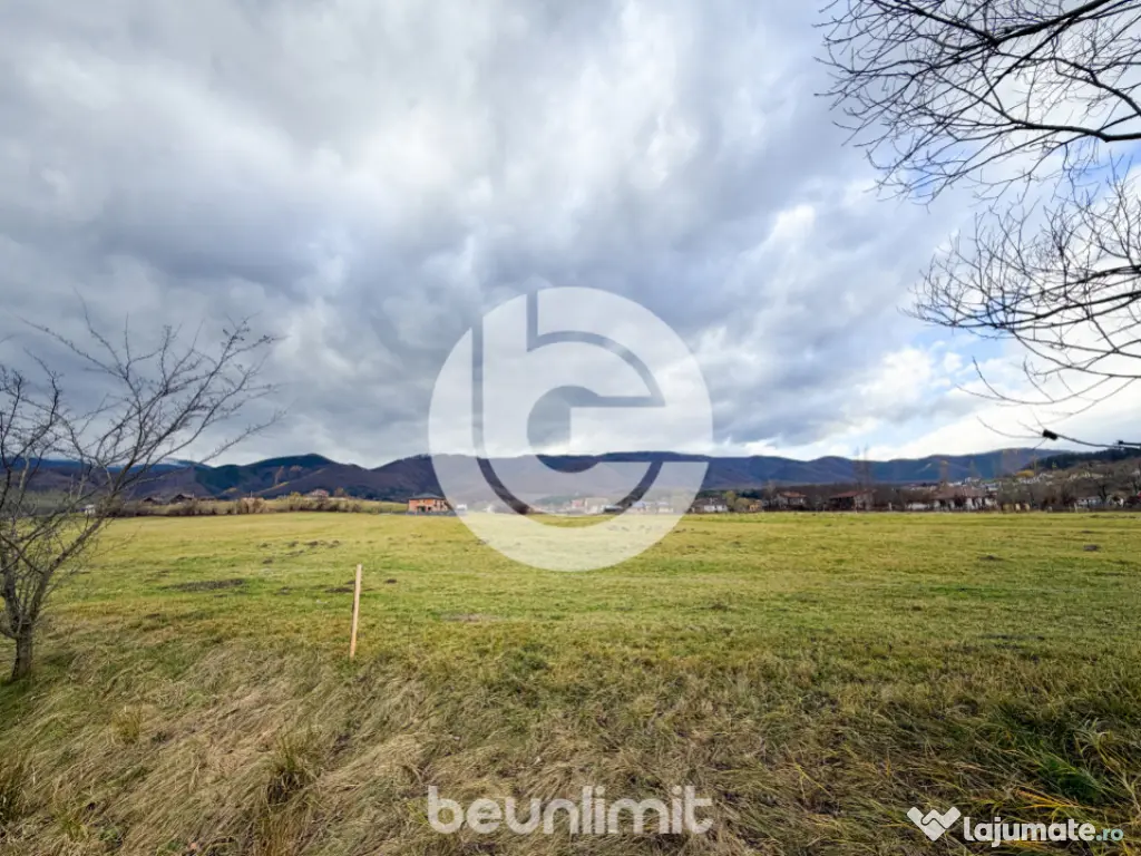 Teren intravilan în Tocile - 49 euro/mp - 4354 m² - 2 fron