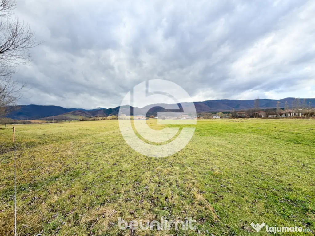 Teren intravilan în Tocile - 49 euro/mp - 4354 m² - 2 fron