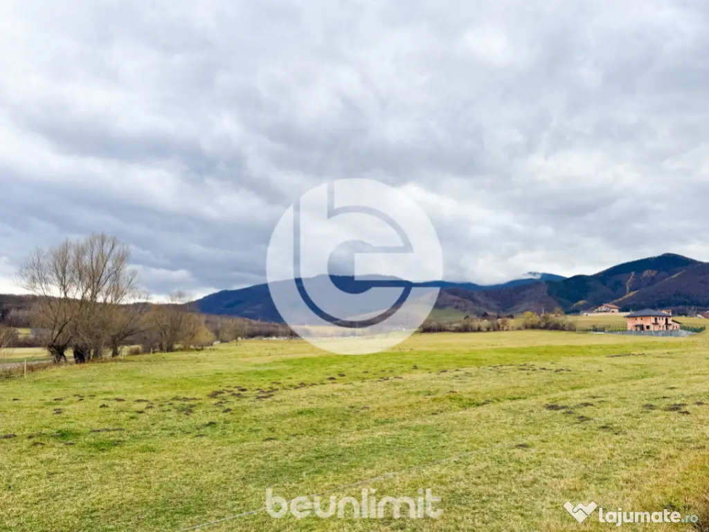 Teren intravilan în Tocile - 49 euro/mp - 4354 m² - 2 fron