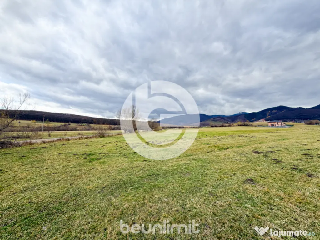 Teren intravilan în Tocile - 49 euro/mp - 4354 m² - 2 fron