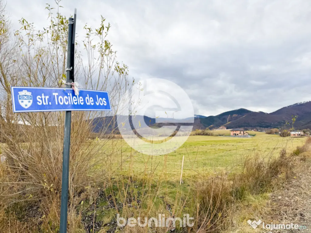 Teren intravilan în Tocile - 49 euro/mp - 4354 m² - 2 fron