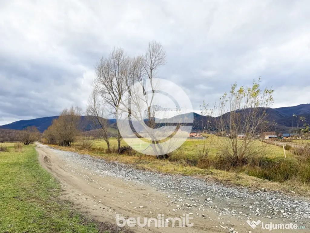 Teren intravilan în Tocile - 49 euro/mp - 4354 m² - 2 fron