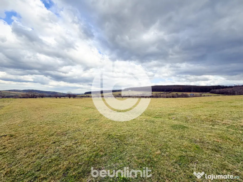 Teren intravilan în Tocile - 49 euro/mp - 4354 m² - 2 fron