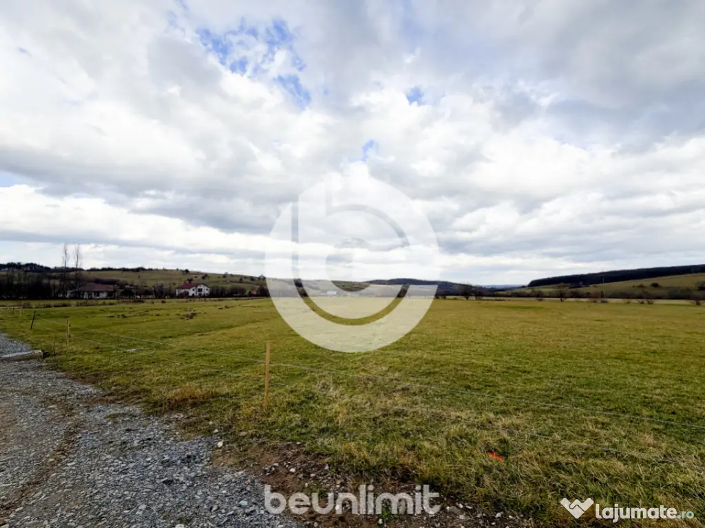 Teren intravilan în Tocile - 49 euro/mp - 4354 m² - 2 fron