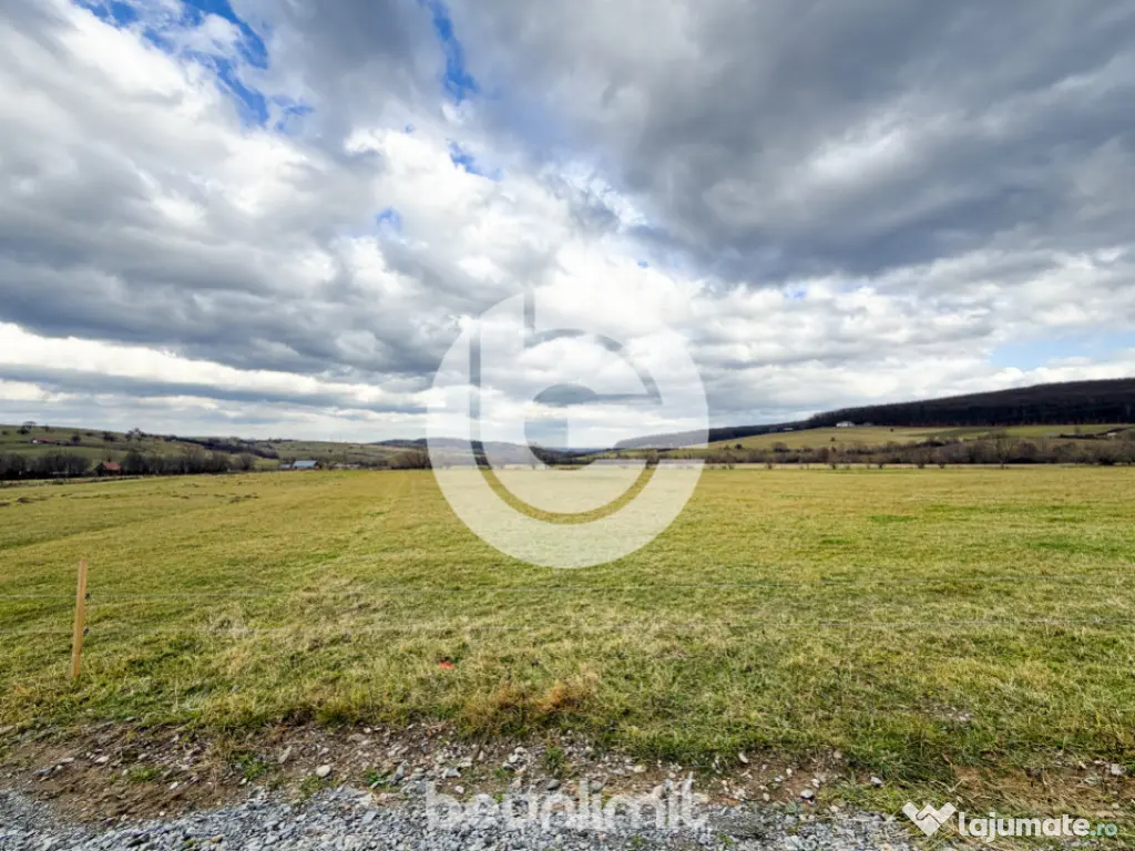 Teren intravilan în Tocile - 49 euro/mp - 4354 m² - 2 fron