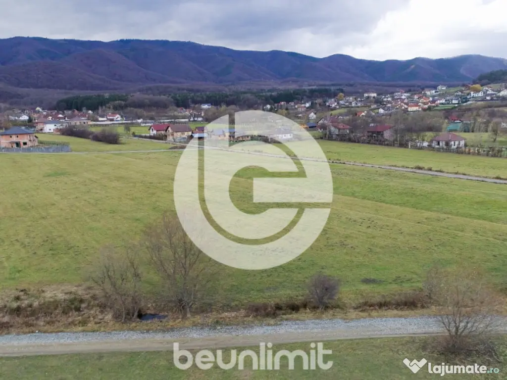 Teren intravilan în Tocile - 49 euro/mp - 4354 m² - 2 fron