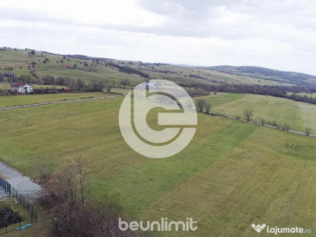 Teren intravilan în Tocile - 49 euro/mp - 4354 m² - 2 fron