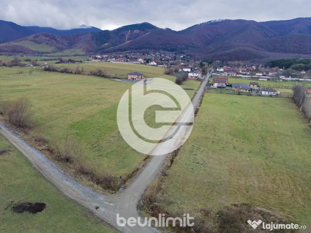 Teren intravilan în Tocile - 49 euro/mp - 4354 m² - 2 fron