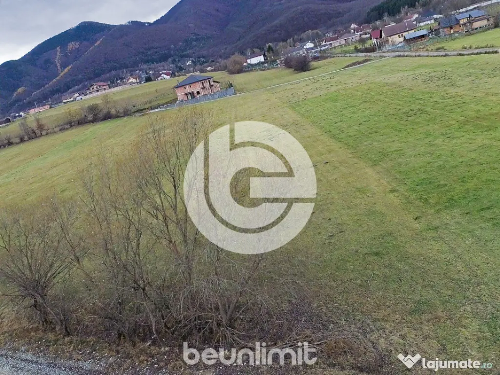 Teren intravilan în Tocile - 49 euro/mp - 4354 m² - 2 fron