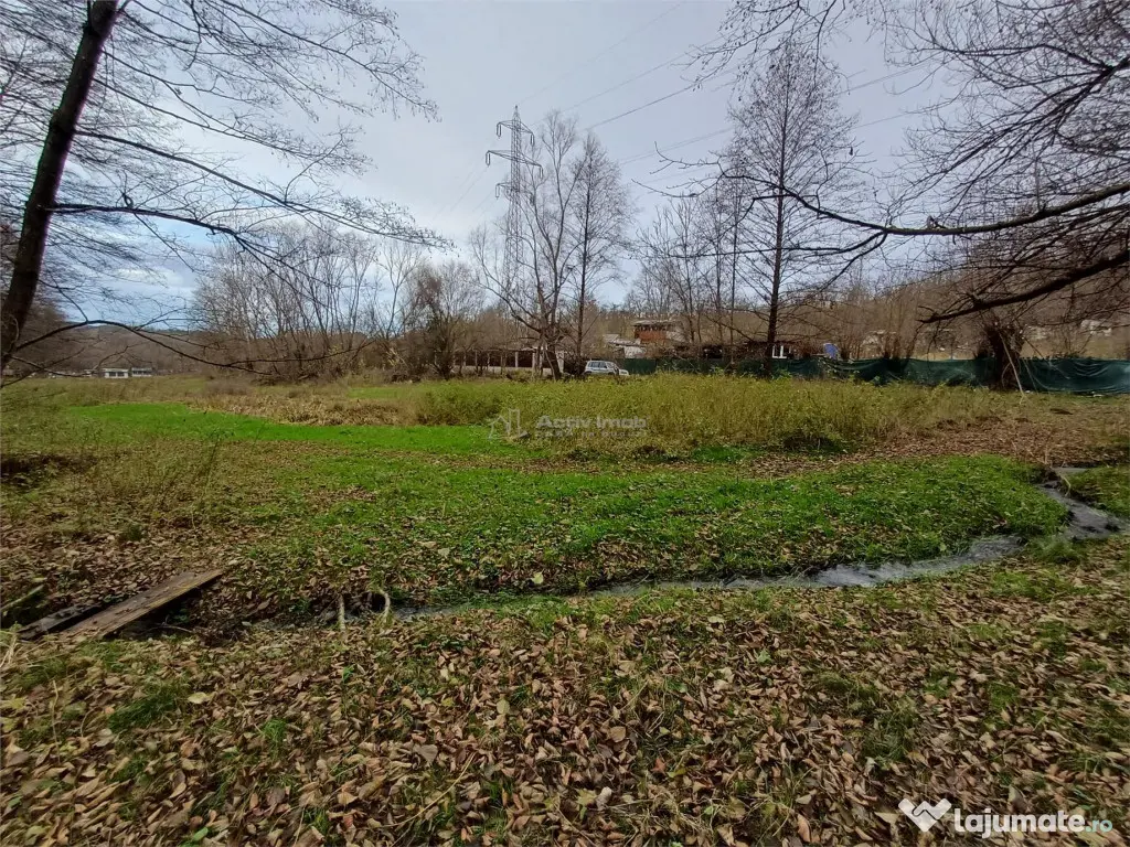 Resita, Teren Drept Intravilan, Langa Prau si Drum, 1308 Mp. 