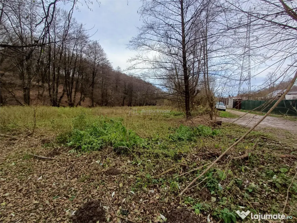 Resita, Teren Drept Intravilan, Langa Prau si Drum, 1308 Mp. 