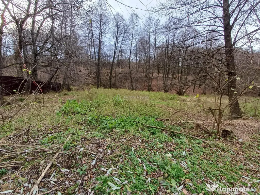 Resita, Teren Drept Intravilan, Langa Prau si Drum, 1308 Mp. 