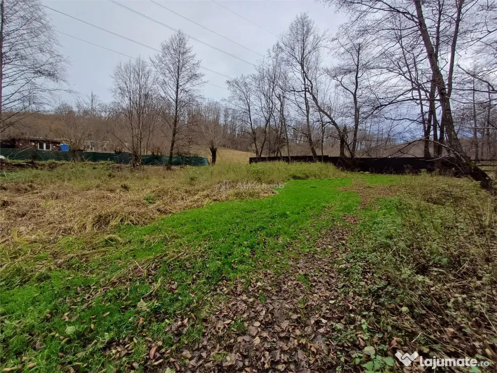 Resita, Teren Drept Intravilan, Langa Prau si Drum, 1308 Mp. 