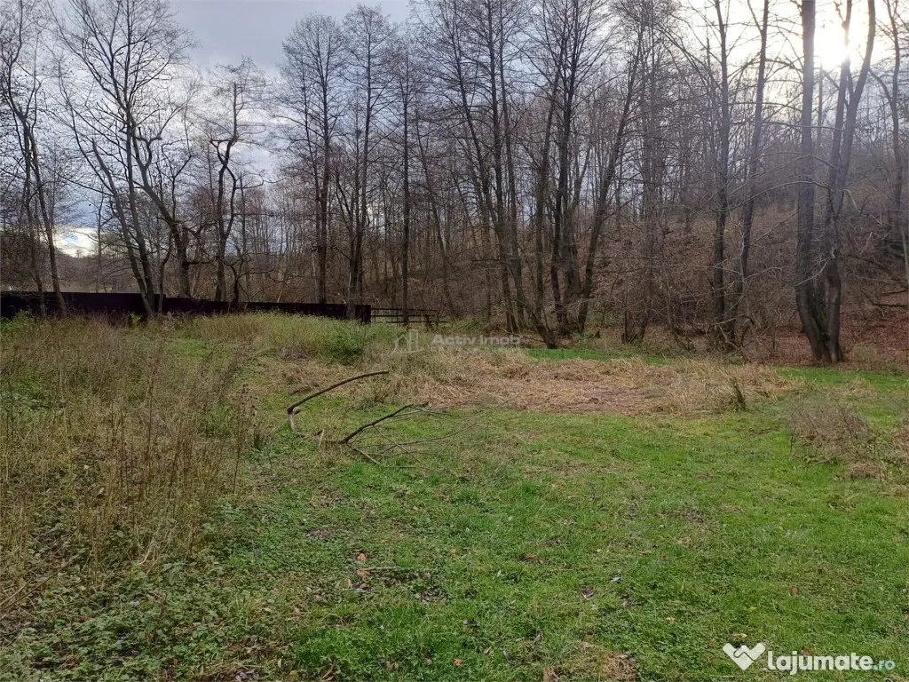 Resita, Teren Drept Intravilan, Langa Prau si Drum, 1308 Mp. 