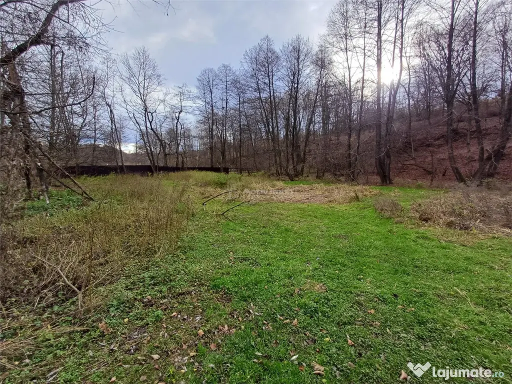 Resita, Teren Drept Intravilan, Langa Prau si Drum, 1308 Mp. 