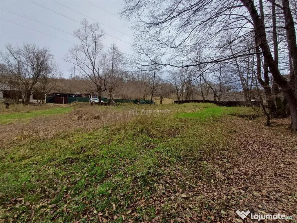 Resita, Teren Drept Intravilan, Langa Prau si Drum, 1308 Mp. 