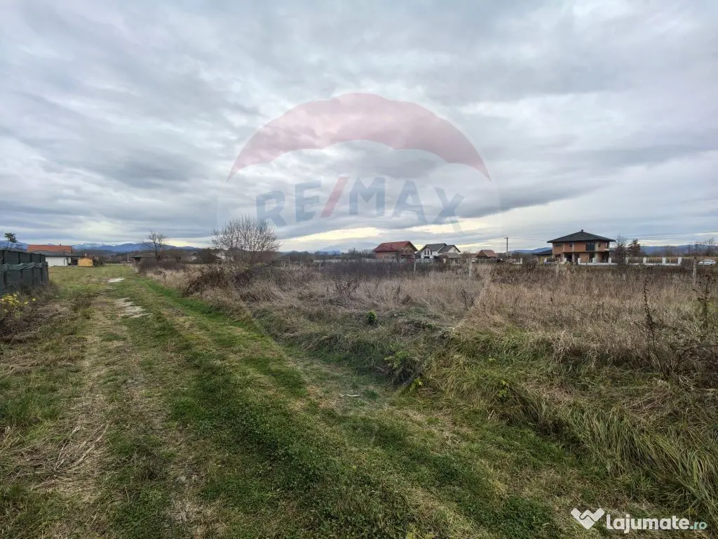 Teren de vanzare in Sacalaseni - zona case noi langa Moar... 