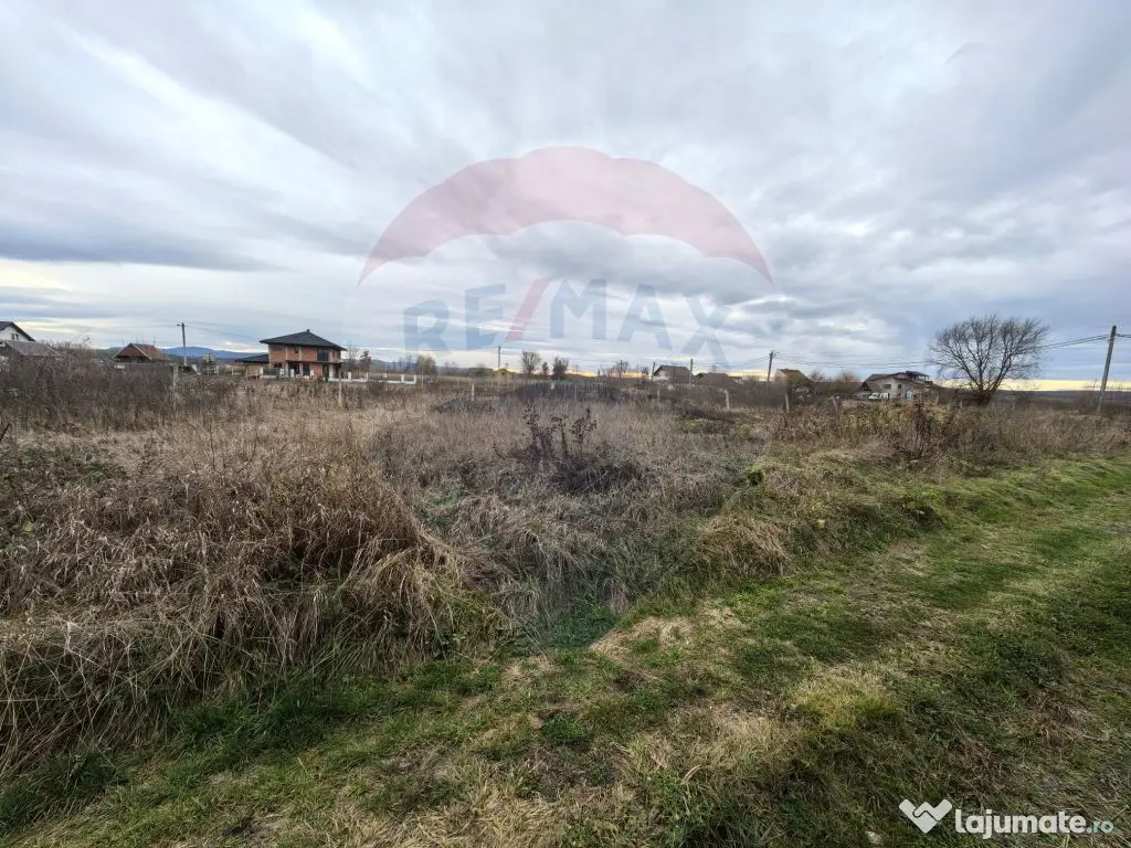 Teren de vanzare in Sacalaseni - zona case noi langa Moar... 