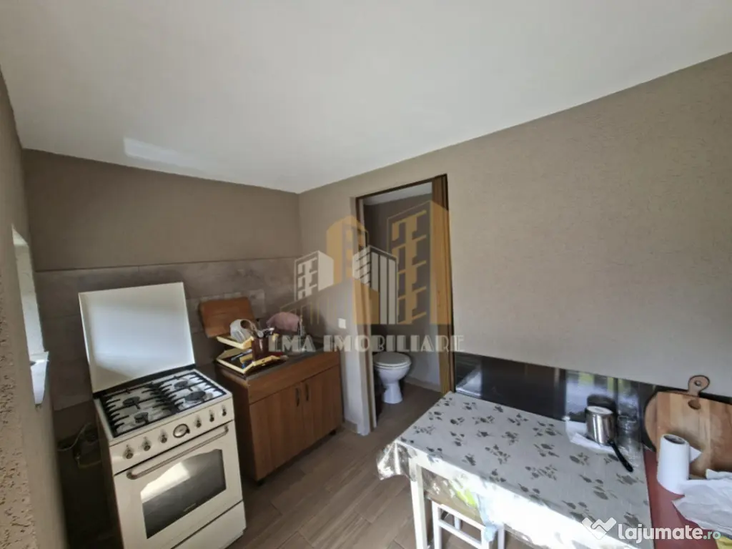 Casa individuala Ileni Fagaras Brasov