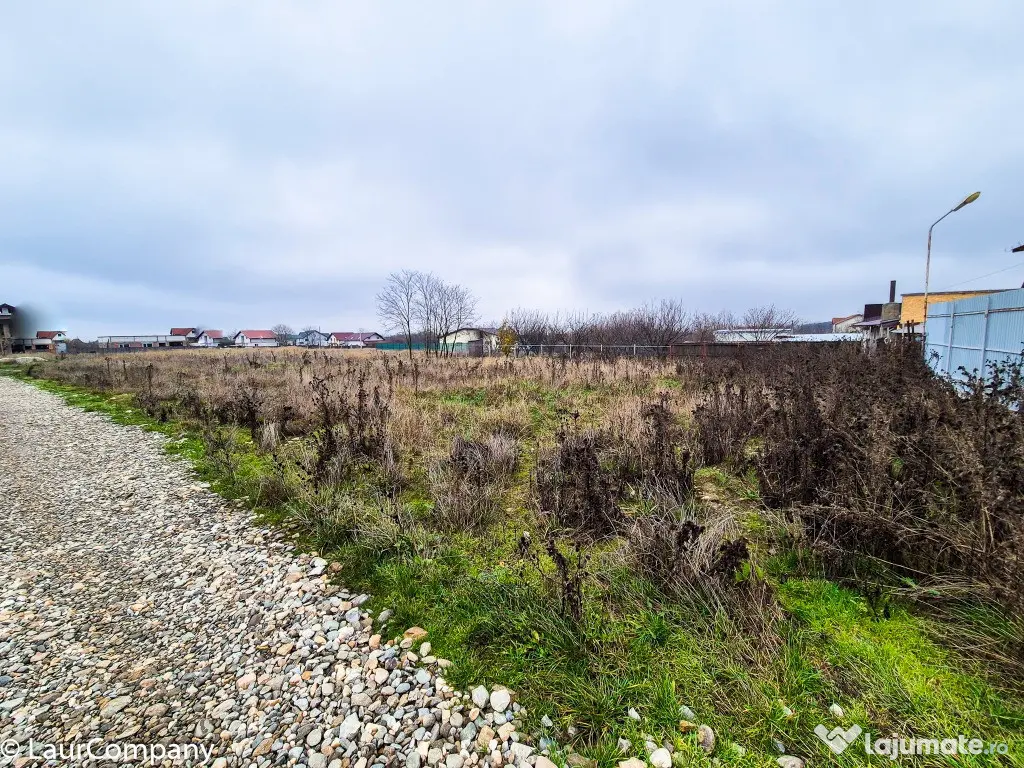 Teren intravilan Smeura Arges