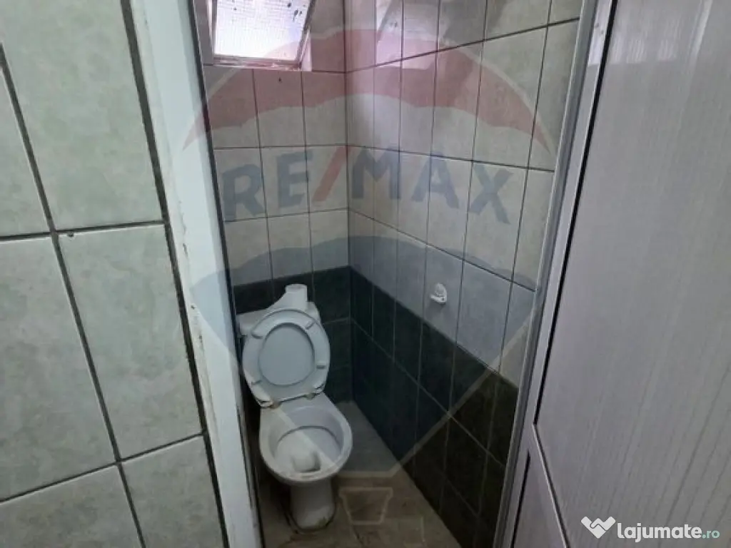 Ansamblu casa de locuit, hala productie ,spatiu de birour...