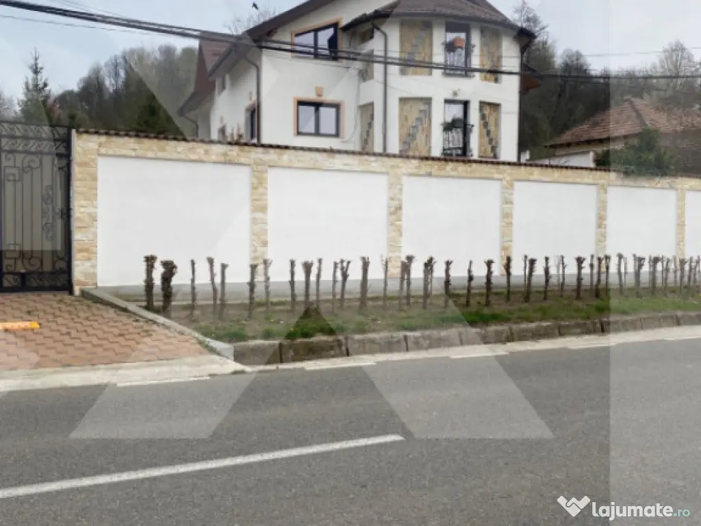 Domeniu de vanzare, Baile Govora(Pausesti-Otasau) cu teren d 