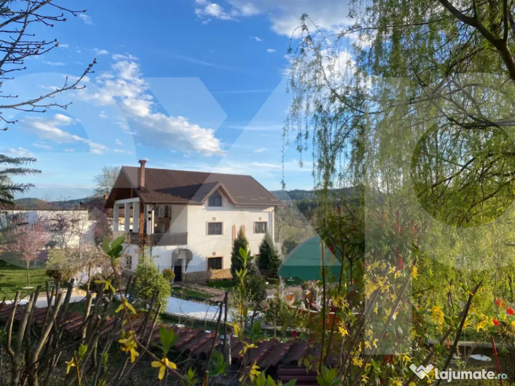 Domeniu de vanzare, Baile Govora(Pausesti-Otasau) cu teren d 