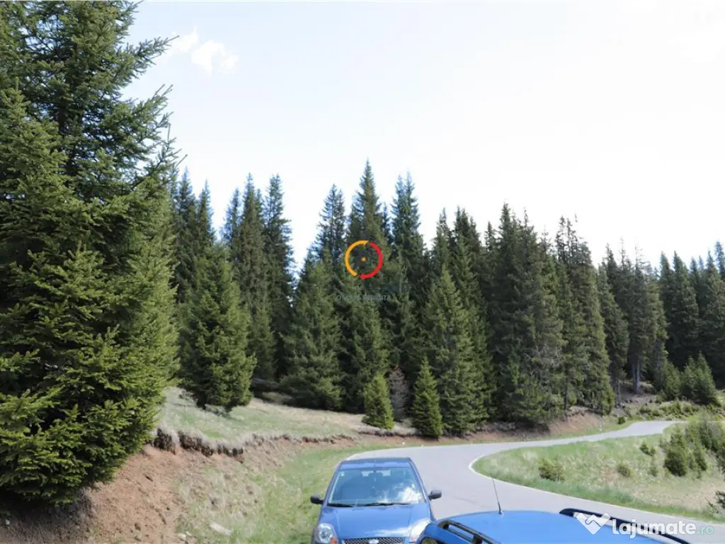 Terenuri speciale Padina Busteni