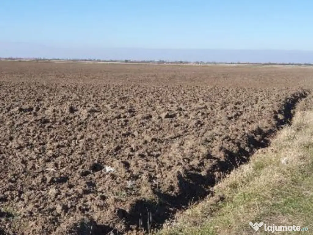 Teren extravilan- Com. Siria, jud. Arad