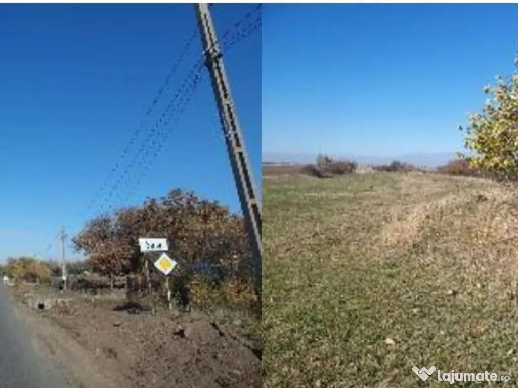 Teren extravilan- Com. Siria, jud. Arad