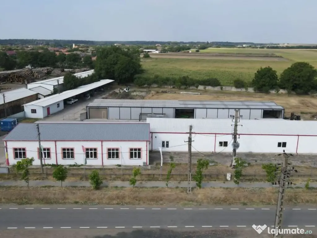 Hale depozitare/producție 2.000 mp si 10.000 mp teren î... 