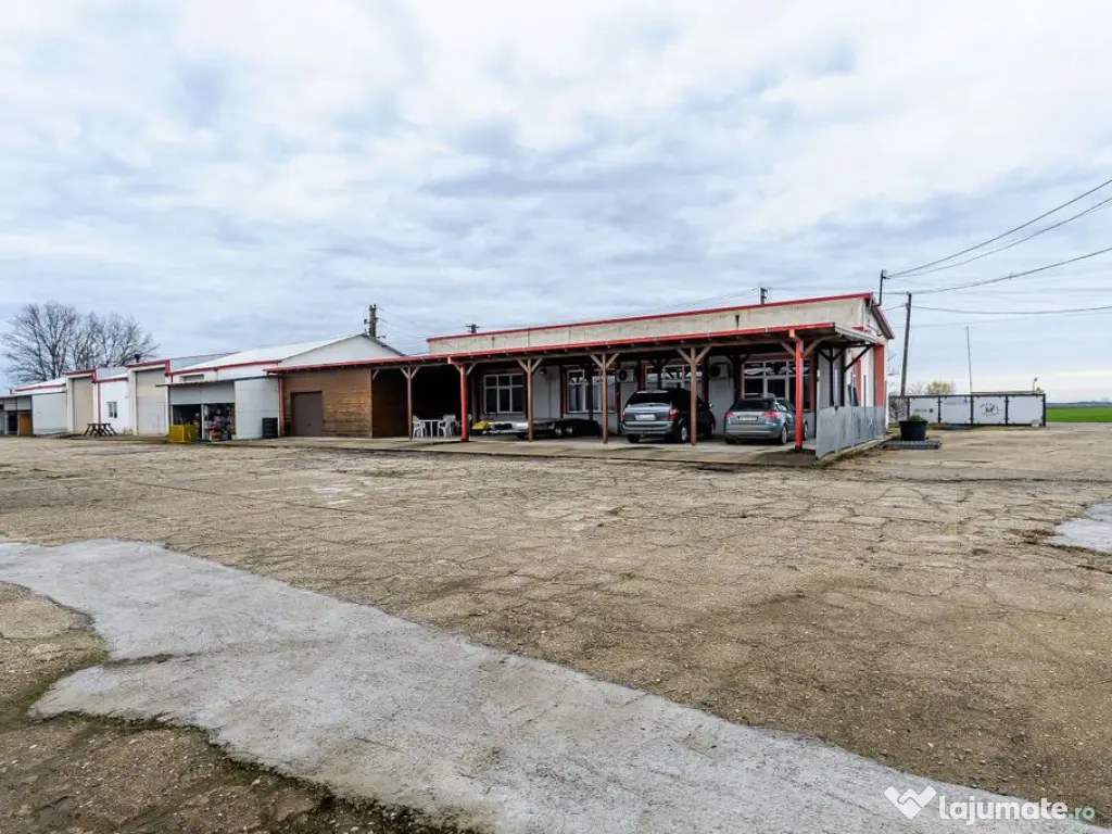Hale depozitare/producție 2.000 mp si 10.000 mp teren î... 