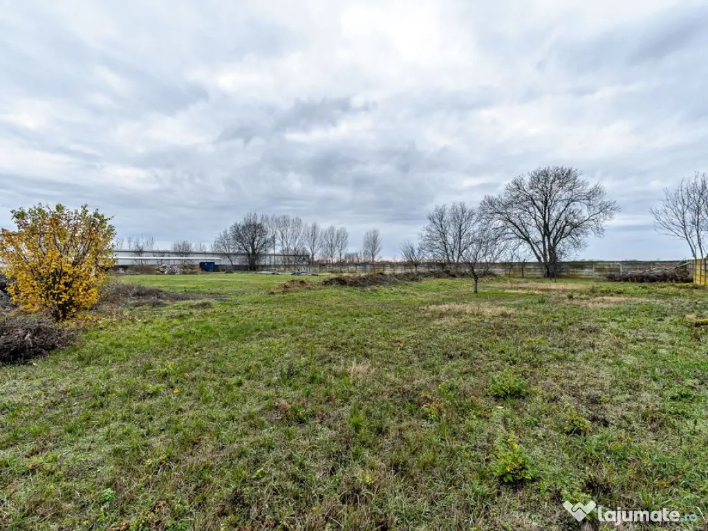 Hale depozitare/producție 2.000 mp si 10.000 mp teren î... 