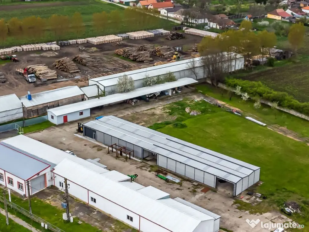 Hale depozitare/producție 2.000 mp si 10.000 mp teren î... 