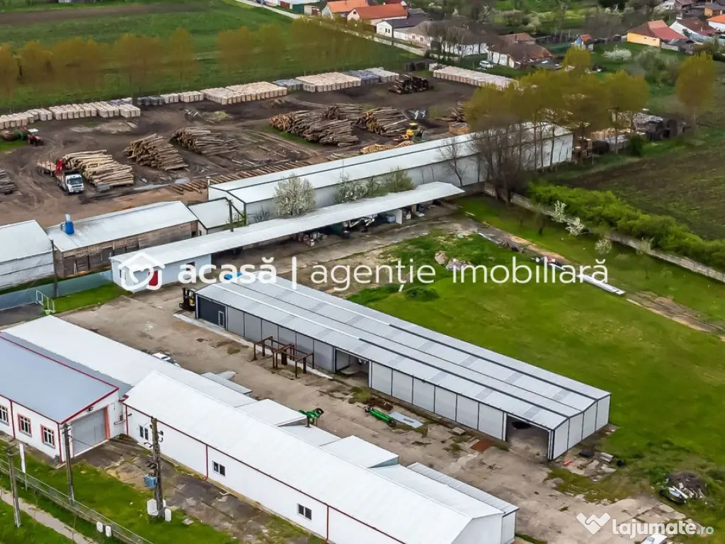 Hale depozitare/producție 2.000 mp si 10.000 mp teren î... 