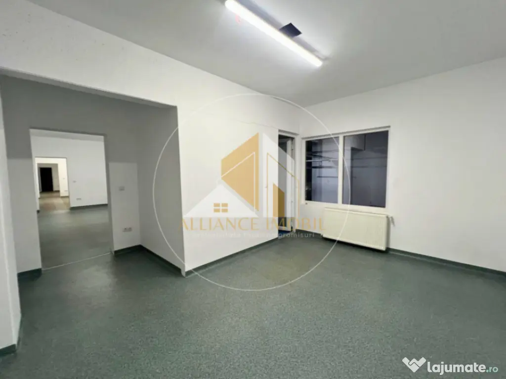 Spațiu industrial cu utilizare mixtă(producție ,depozit, 