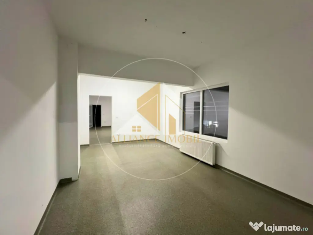 Spațiu industrial cu utilizare mixtă(producție ,depozit, 