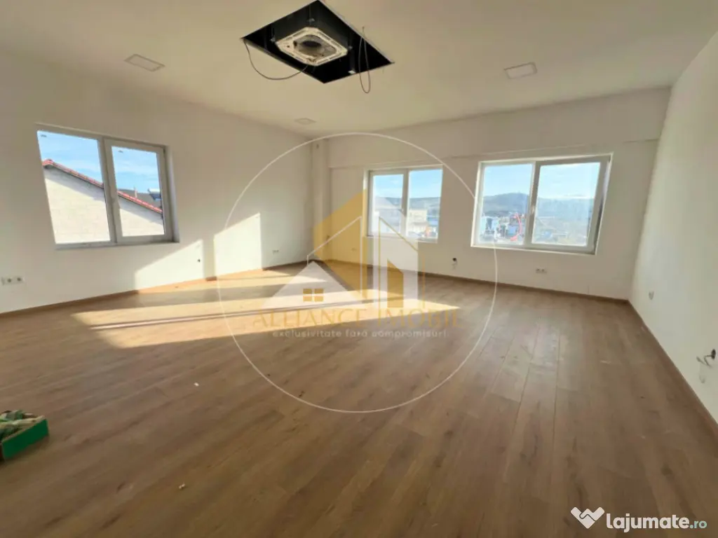 Spațiu industrial cu utilizare mixtă(producție ,depozit, 