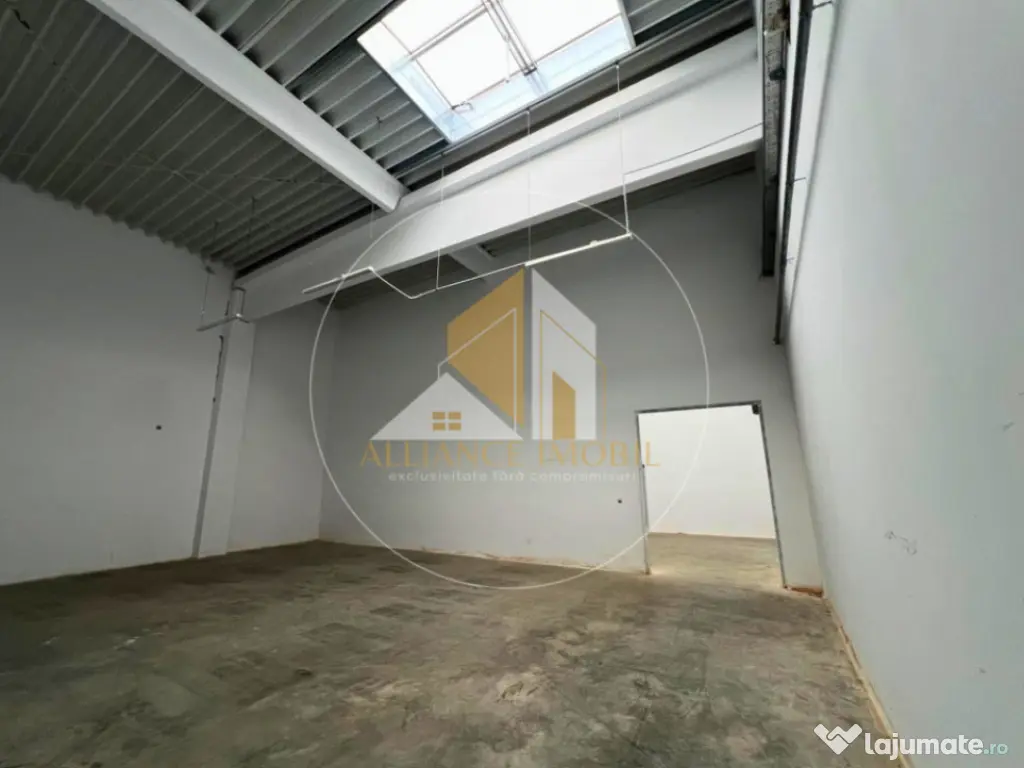 Spațiu industrial cu utilizare mixtă(producție ,depozit, 
