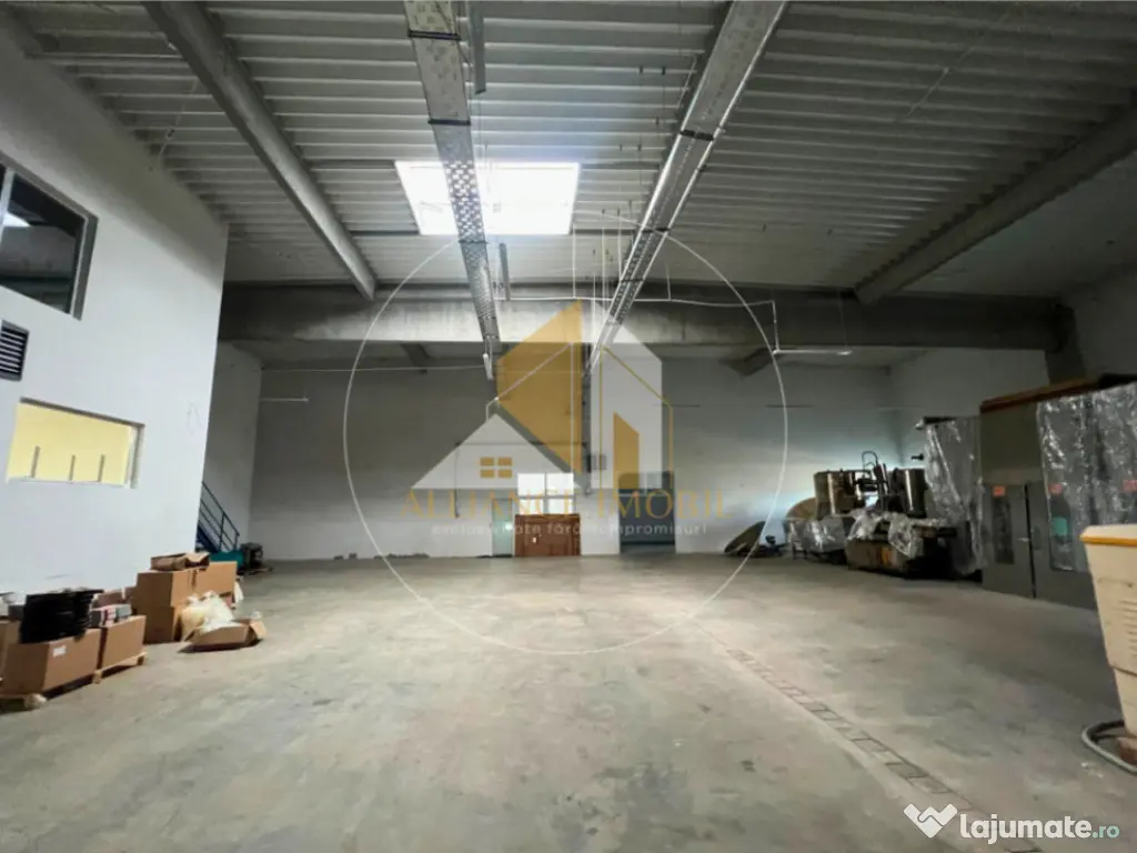 Spațiu industrial cu utilizare mixtă(producție ,depozit, 