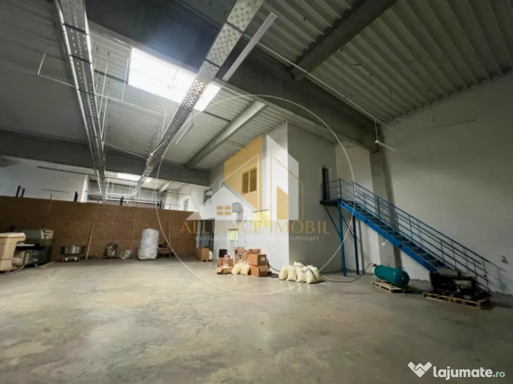 Spațiu industrial cu utilizare mixtă(producție ,depozit, 