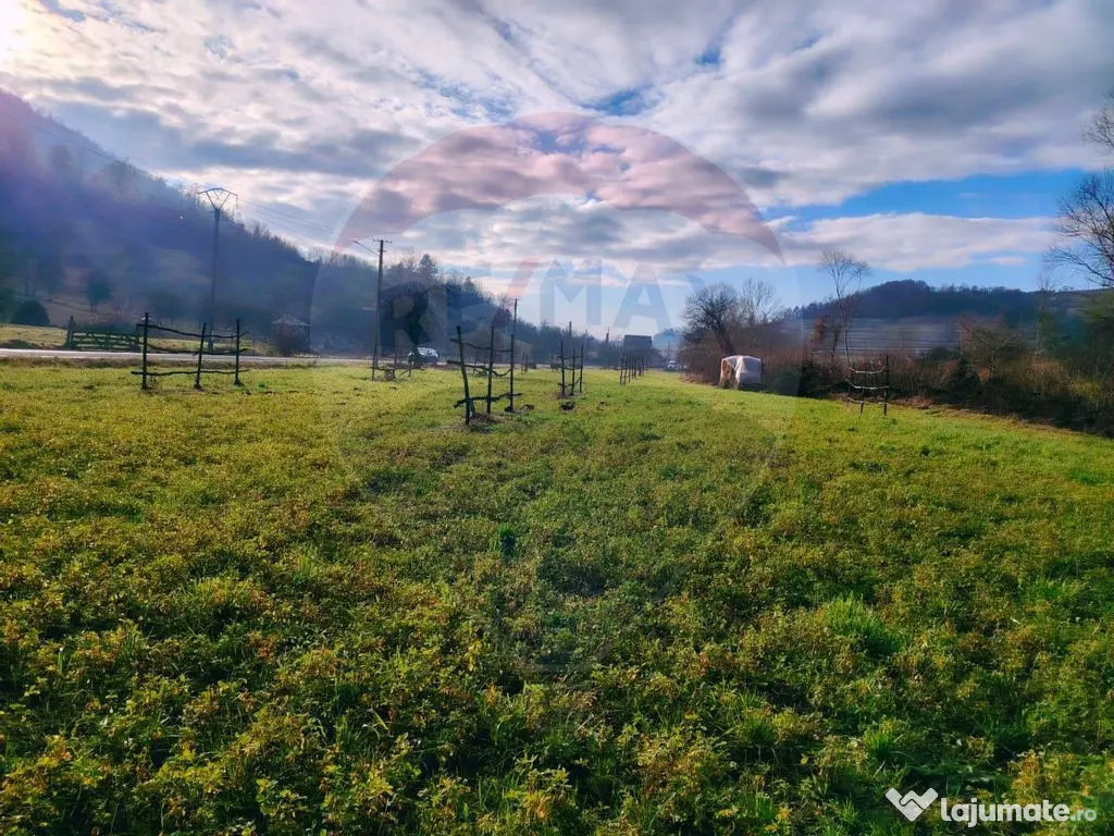 COMISION 0% Teren intravilan de vanzare in Barsana (26 ARI) 