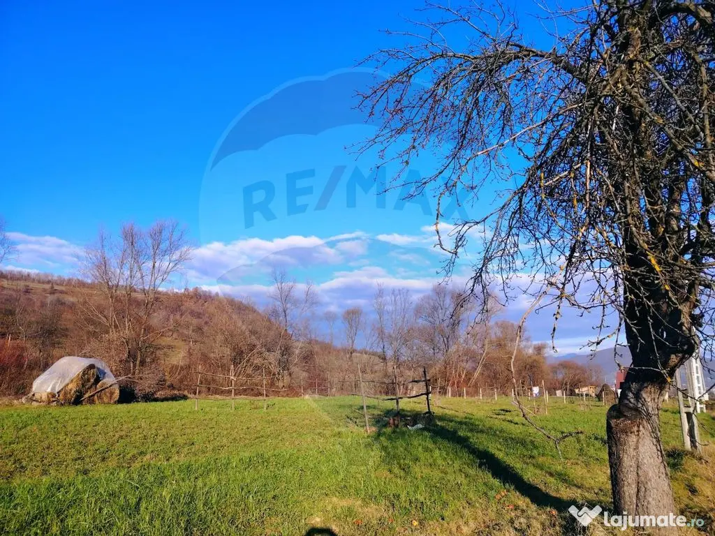 COMISION 0% Teren intravilan de vanzare in Barsana (26 ARI) 