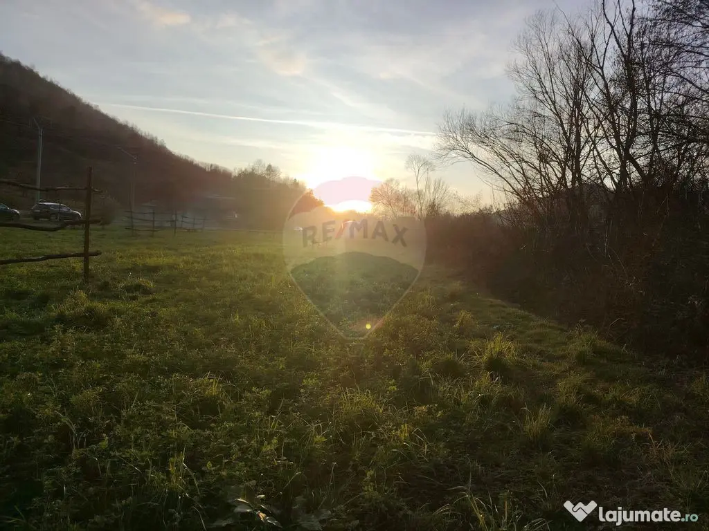 COMISION 0% Teren intravilan de vanzare in Barsana (26 ARI) 