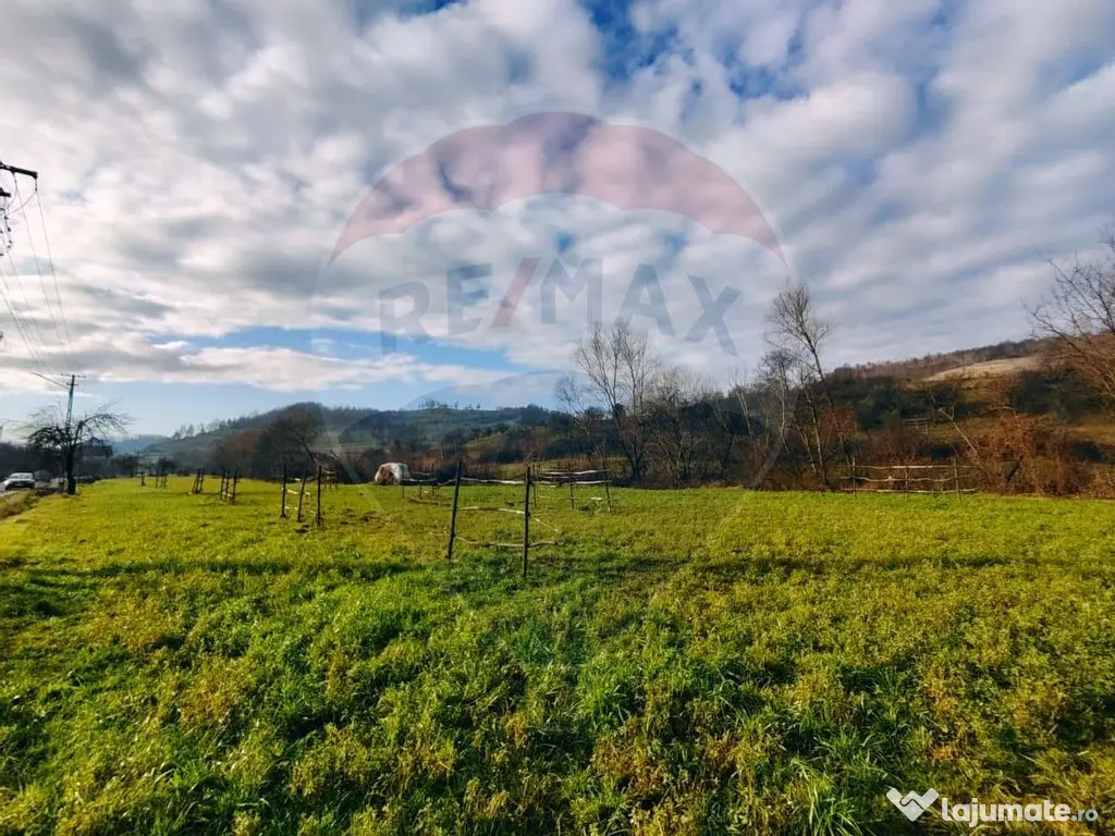 COMISION 0% Teren intravilan de vanzare in Barsana (26 ARI) 