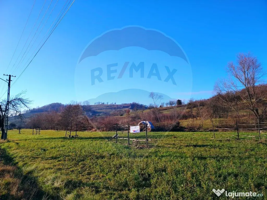 COMISION 0% Teren intravilan de vanzare in Barsana (26 ARI) 