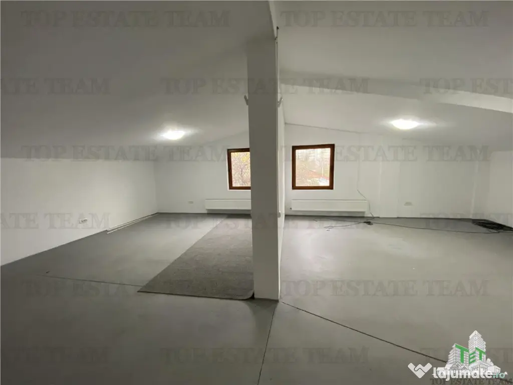 Casa de inchiriat activitate comerciala, zona Doamna Ghica