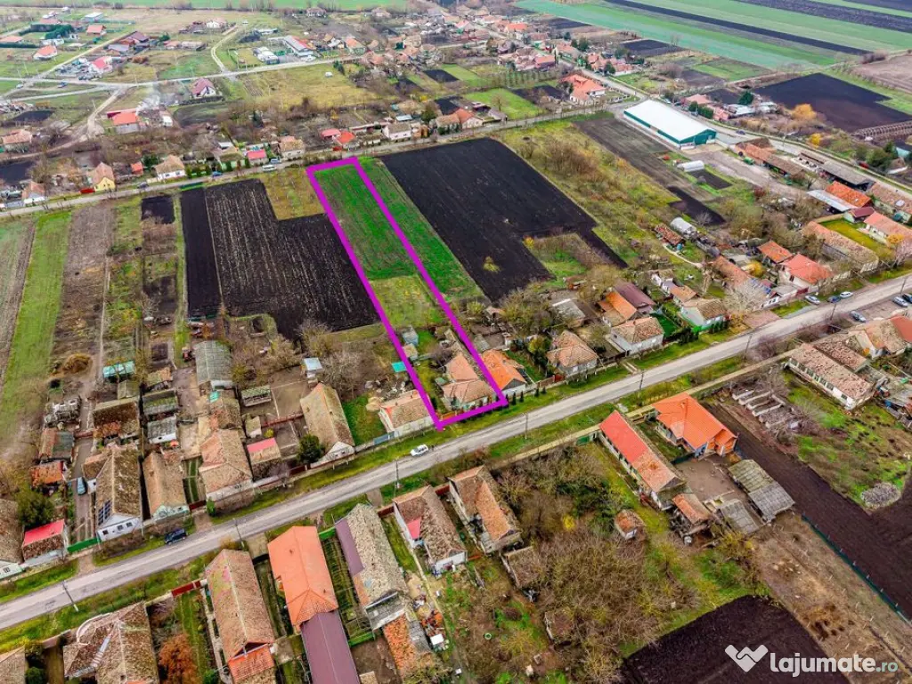 Casă cu livadă + curte 2500 mp în Dorobanți 